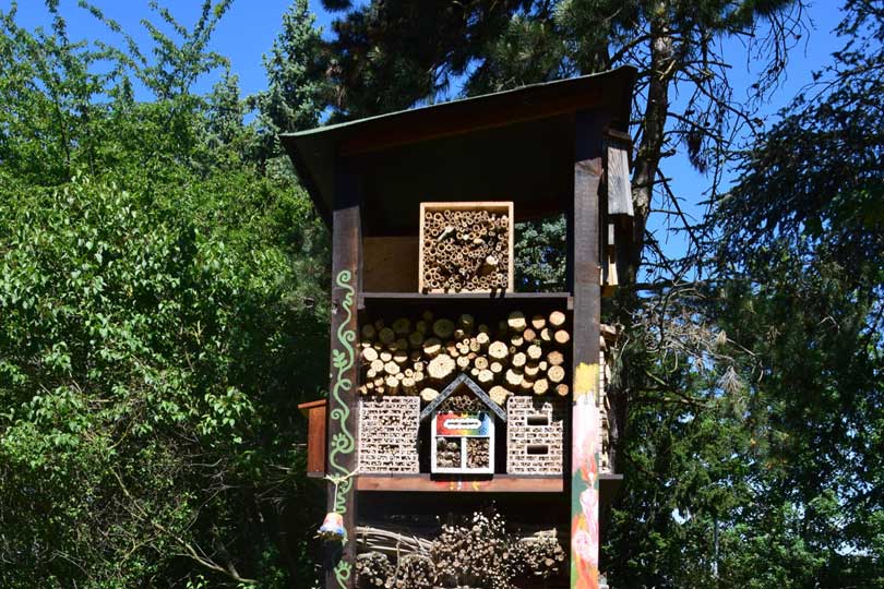 FöJ: Insektenhotel in der Jugendakademie