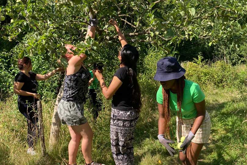 Eine Gruppe von Freiwilligen bei Arbeit auf einer Streuobstwiese